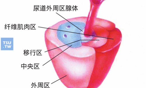 贵州苦丁降压胶囊暴光-贵州苦丁降压胶囊-专业苦丁降压胶囊对肝部有影响吗平台-贵州苦丁降压胶囊每天吃几粒